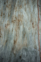 Abstract background from old wood
