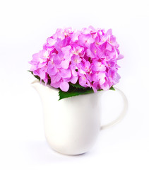 sweet pink  hydrangea flowers in white vase