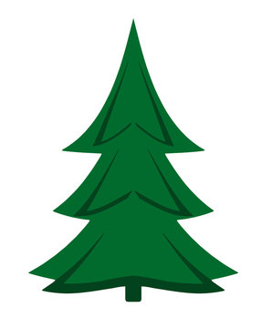 Tannenbaum
