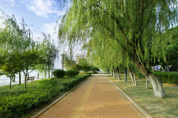 Stone Pathway