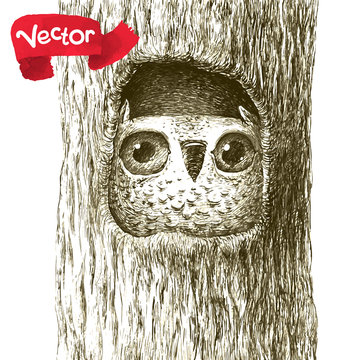 Cute Baby Owl Sitting in a Tree Hollow