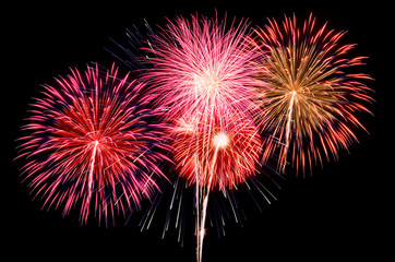 Fireworks light up the sky with dazzling display