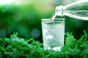 a glass of cool fresh water on natural green background