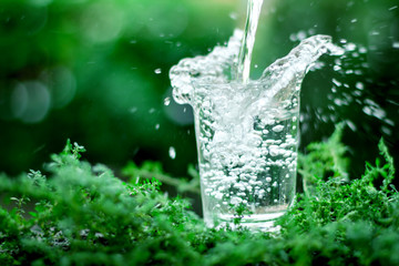 a glass of cool fresh water on natural green background
