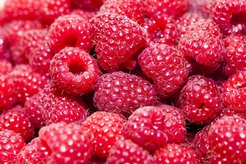 ripe raspberries   close-up  