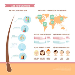 Colorful hair infographic about the problem of hair loss. Template with simple data, easy editable. Vector illustration in flat style.