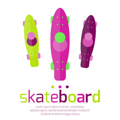 Skateboards top view on a white background. Vector illustration.