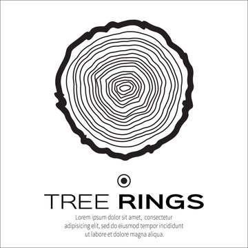 Tree rings background and saw cut tree trunk vector, forestry and sawmill. Wood texture. Vector illustration