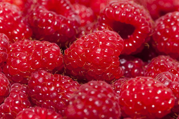 ripe raspberries   close-up 