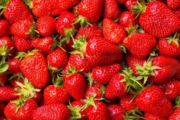 red strawberries
