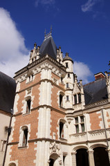 Château Royal de Blois - Tour