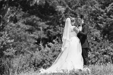 wedding couple on pine forest in love