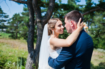 wedding couple on pine forest in love