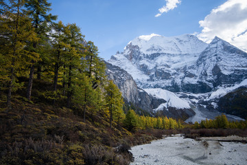 Mountain with snow and pine forest in autumn, taken in the eveni