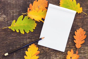 paper with pencil surrounded by colorful autumn leaves
