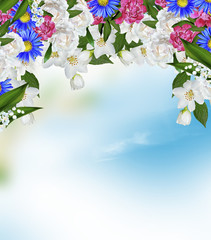 branch of jasmine flowers on a background of blue sky with cloud
