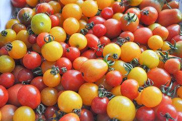 Cherry tomato vegetables