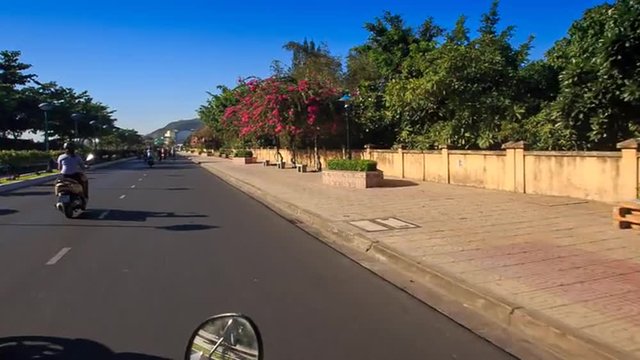 camera moves along road past tropical park with blossoming trees