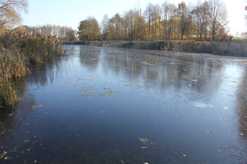 The frozen winter lake in wood