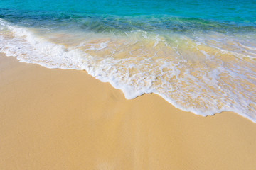 sandy sea beach