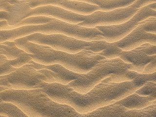 Sand waves background