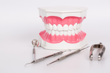 White teeth and dental instruments on white background