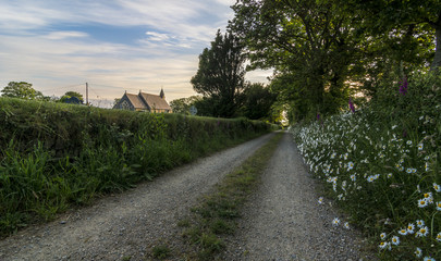A deserted country path, with wild flowers growing in the verge and a quaint church on the horizon