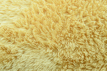 Background teddy bear fur.