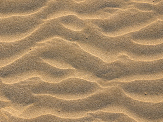 Sand waves background