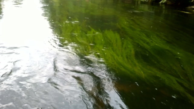 walk on rowing boat on river in summer day
