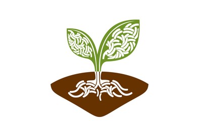 Fototapeta na wymiar germ agricultural plant leaves