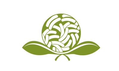 germ agricultural plant leaves