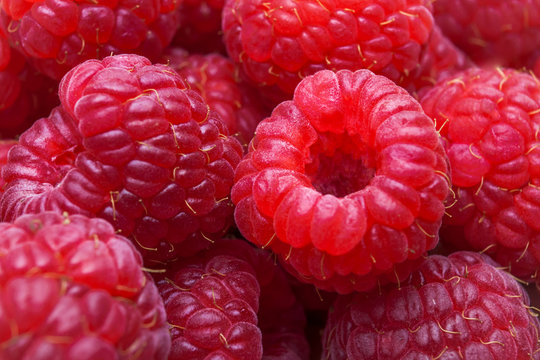Macro image of a heap of red raspberries a refreshing snack option for a healthy life