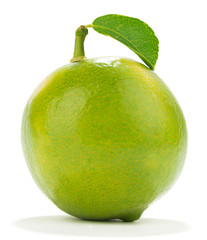 Sweet Lemon with Leaf