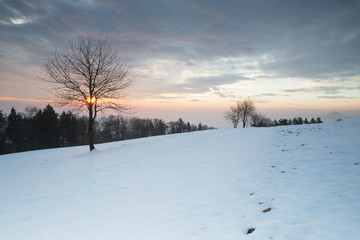 Wintermorgen Hegaublick