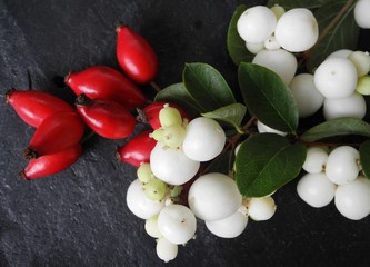 Schneebeeren und Hagebutten