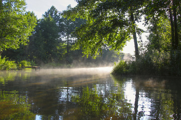 Sunrise on the forest river
