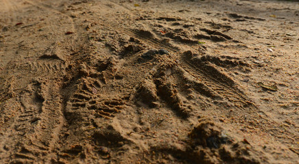 Dirty mud road after rain