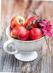 Still Life with Apples