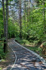 Fototapeta premium Eco Trail prevails Mali town, Bulgaria