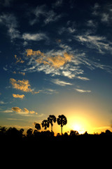 Fototapeta na wymiar Sunset sky and palm trees silhouettes.