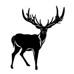 Balck silhouette of deer with big antler