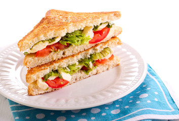 Mozzarella and tomato  grilled sandwich
