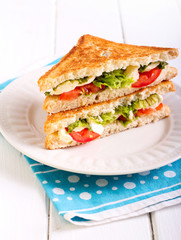 Mozzarella and tomato  grilled sandwich