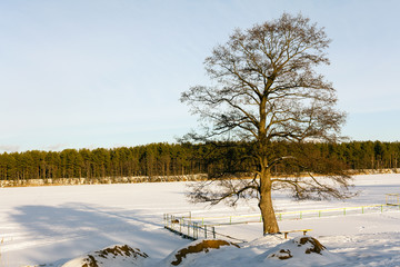   lake in winter 