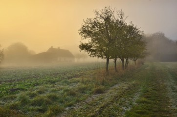 Magical autumn morning