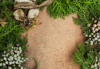 Foglie di pino e pietre