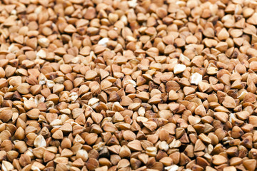 mature buckwheat  close-up 