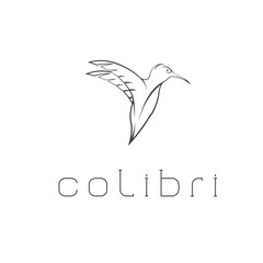 hummingbird vector design template