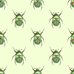 Beetle. Watercolor seamless pattern 1